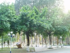 -广东外语外贸大学(白云山校区)