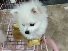 -汪说·狗咖(旺城大厦店)