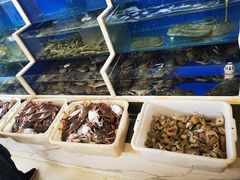 -春华海鲜城(广场西苑店)