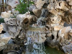 -呼吸森林·生态农庄农家乐私房菜