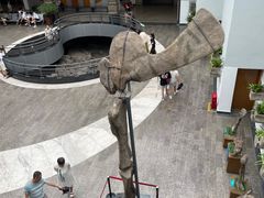 -自贡恐龙博物馆