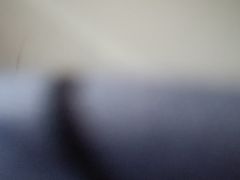 -巢爷老味(东方红店)