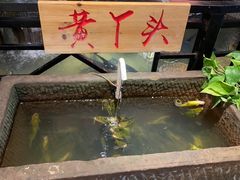 -柴米油盐(土菜院子店)