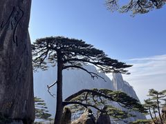 -黄山风景区
