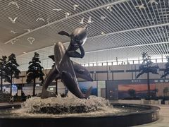 -青岛胶东国际机场