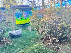 -鄂尔多斯野生动物园