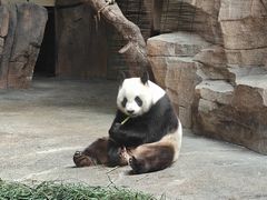 -宁波野生动物园