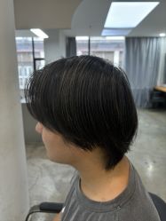 -蚂蚁造型沙龙
