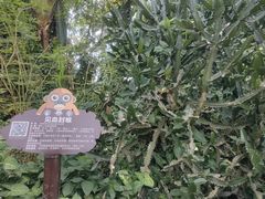 -海南热带野生动植物园