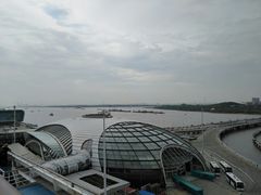 -吴淞口国际邮轮码头-停车场