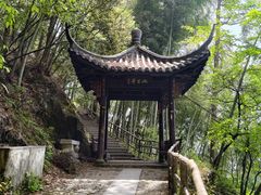 -东天目山风景区
