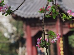 -莫愁湖公园