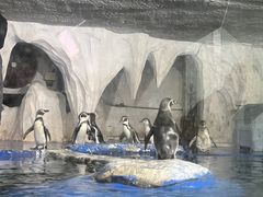 -太平洋海底世界