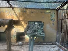 -青藏高原野生动物园