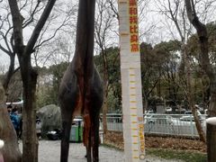 -无锡动物园·太湖欢乐园