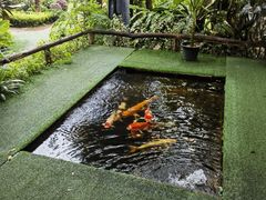 -Ohkajhu Organic Farm Sansai