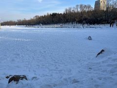 -长春世界雕塑园冰雪艺术天地