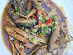 -黄牛肉馆·皖南土菜