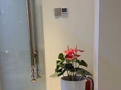 -爱氧森林·日本兴百世SHENPIX微高压氧舱