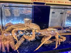 -蟹道乐(道顿堀本店)