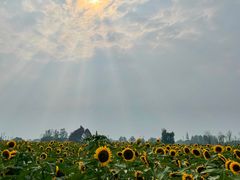 -中国天府农业博览园