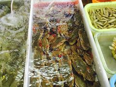 -大湾区中央湿地公园-十九涌