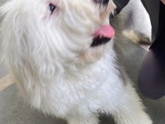-VIP 威尔仕健身·游泳(嘉华中心店)