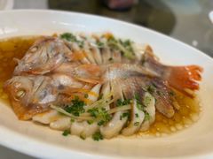 -骏莱海鲜鱼港(五角场店)