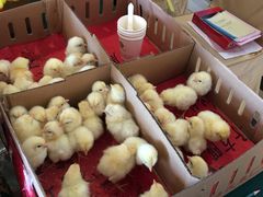 -兴芮温泉度假区