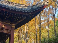 -汇龙潭