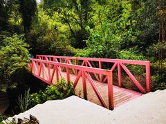 -武夷山风景名胜区-玉女峰