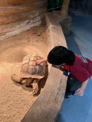 -Zoolung Zoolung动物主题公园(海信广场店)