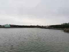 -上海都市菜园