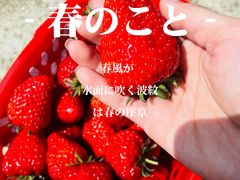 -普迪生态园