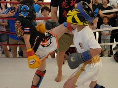 -花环泰拳·勒德斯拉泰拳馆(静安店)