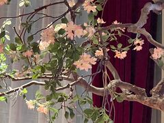 -俏江南天津时尚曲艺主题餐厅(马场道店)