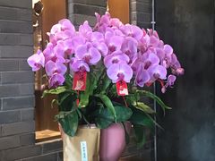 -青藤茶馆(南山路店)