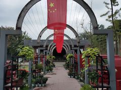 -成飞公园