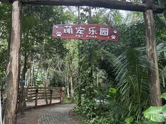 -呀诺达热带雨林