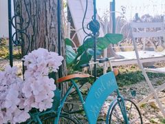 -安德鲁户外烧烤帐篷营地(马泉营店)