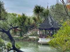 -上海醉白池公园