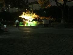 -花溪公园
