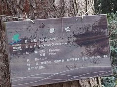 -东湖落雁景区