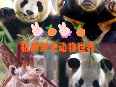 -杭州野生动物世界