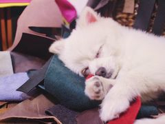 -零几体验diy皮具工作室(振业城店)