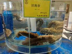 -新海渔港·胶东海鲜家常菜·家宴(奥体中心店)
