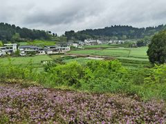 -卓筒井遗址公园