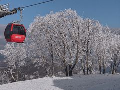 -中旅松花湖滑雪场