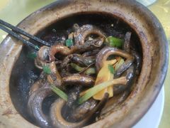 -台山美食一绝阿四台山黄鳝饭(阿四创作店)