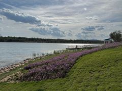 -永定河休闲森林公园